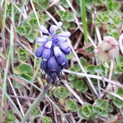 20190405_151714a