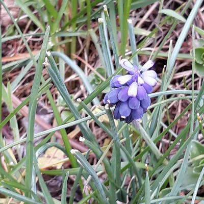 20190405_151723a