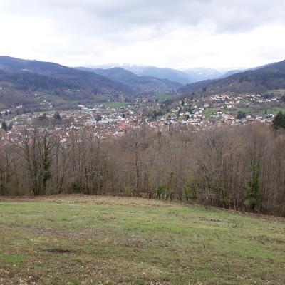 20190405_153432a