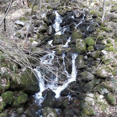 20190406_160028a