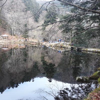 20190406_160712a