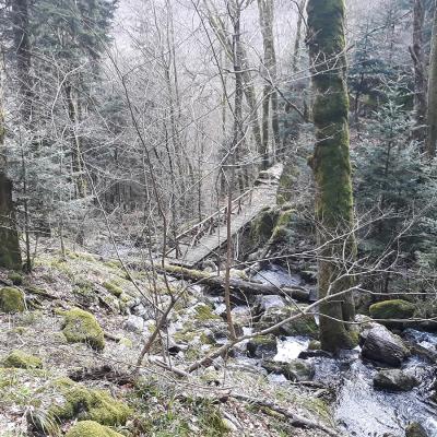 20190406_163713a