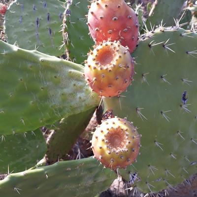 20200917 172630a
