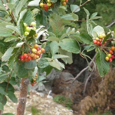 Séjour Corse Sept 2023