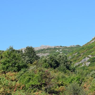 Dsc 0022a
