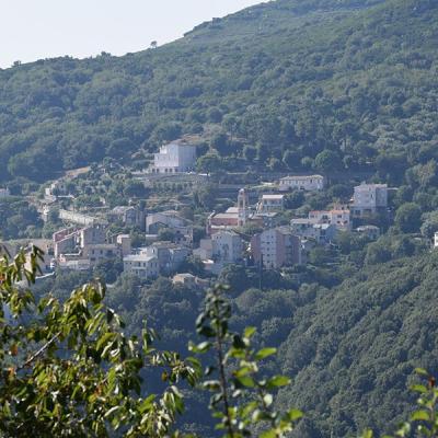 Dsc 0028a