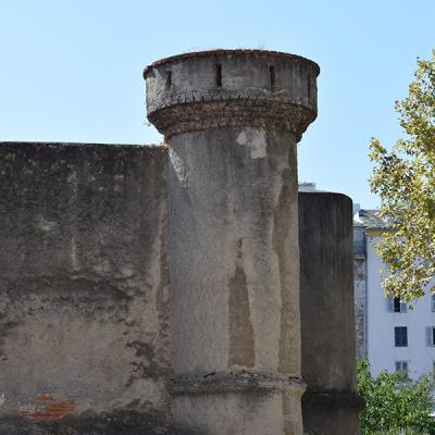 Dsc 0036a