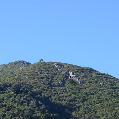 Dsc 0064a