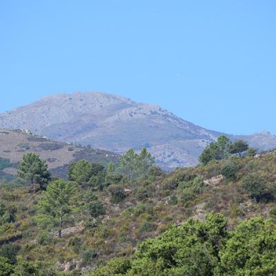 Dsc 0069a