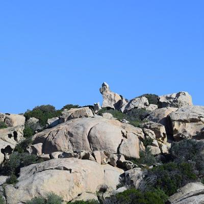 Dsc 0082a