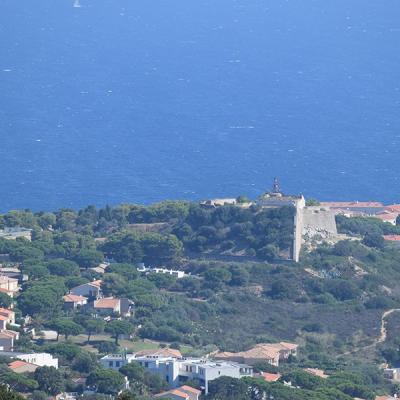 Dsc 0085a