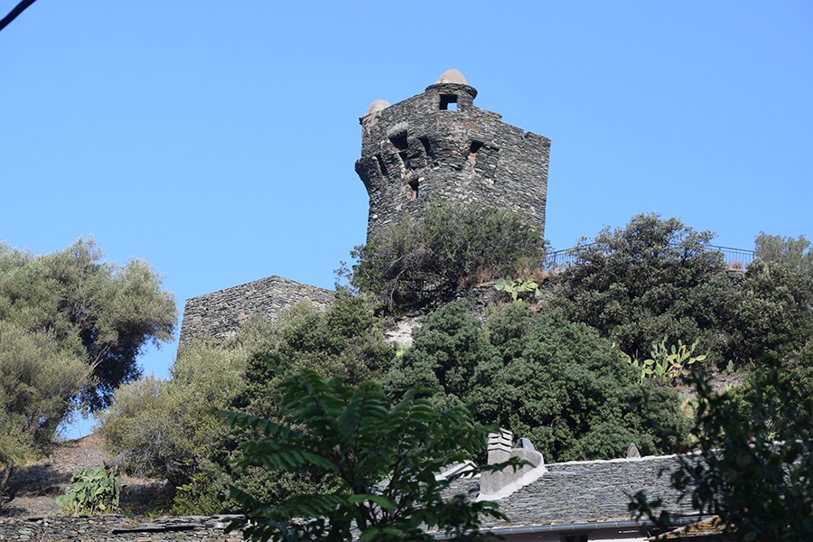Dsc 0270a