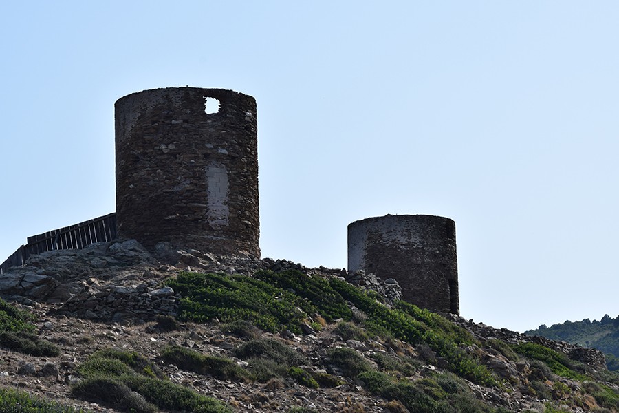 Dsc 0313a