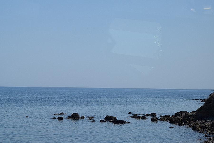 Dsc 0337a