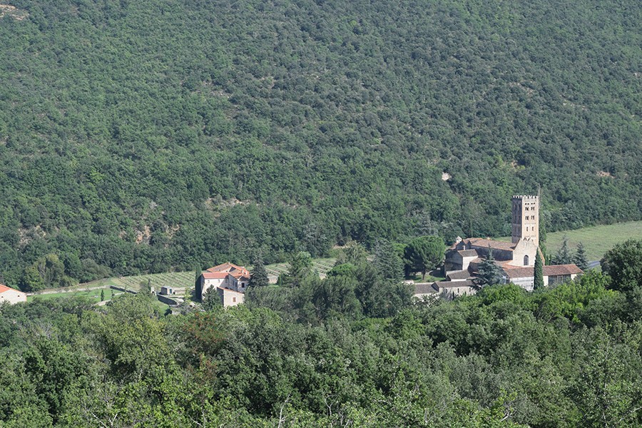 Dsc 0497a