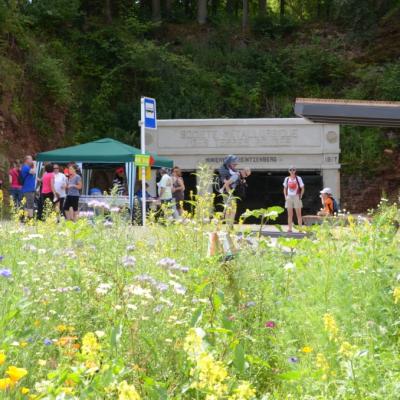 5 ième contrôle Dominique , Liliane , J. Marie & Jeannot