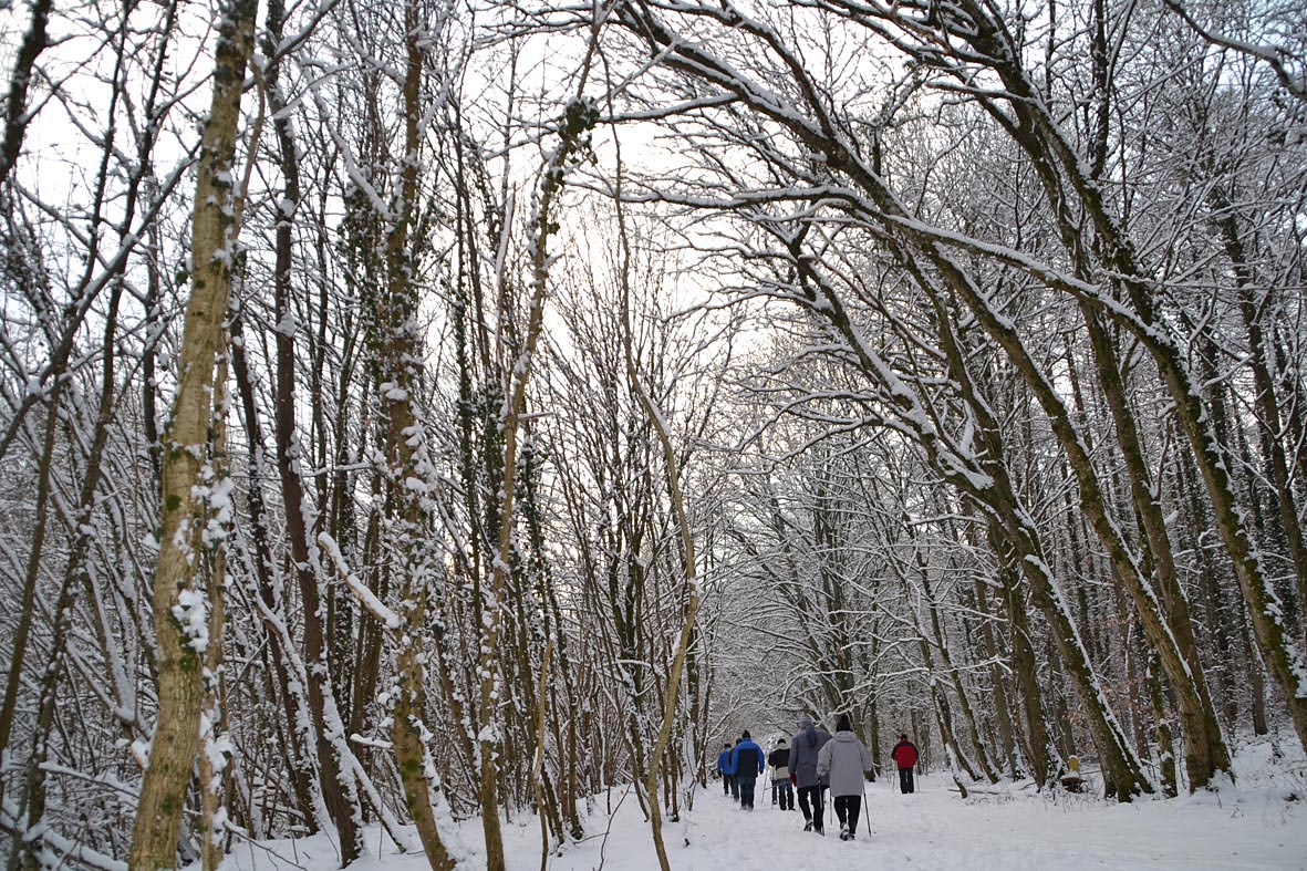 VIVE LES MARCHES DANS LA NEIGE