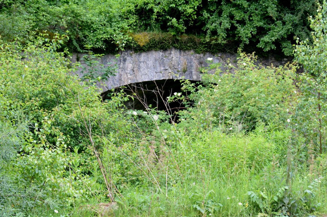 DSC_6415