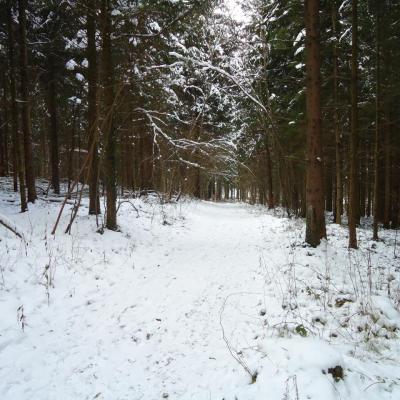 MARCHES HEBDOMADAIRES: LUNDI -MERCREDI-JEUDI & DIMANCHE