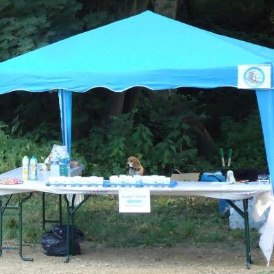 4 ième contrôle  Athéna et ....??....