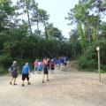 Sentier forestier
