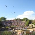 Le Bal des Oiseaux Fantomes