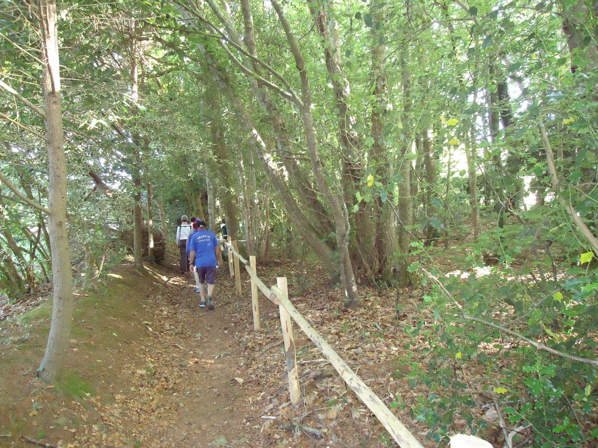 DSC08913