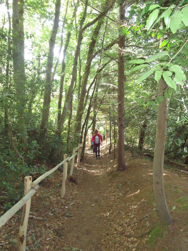 DSC08914