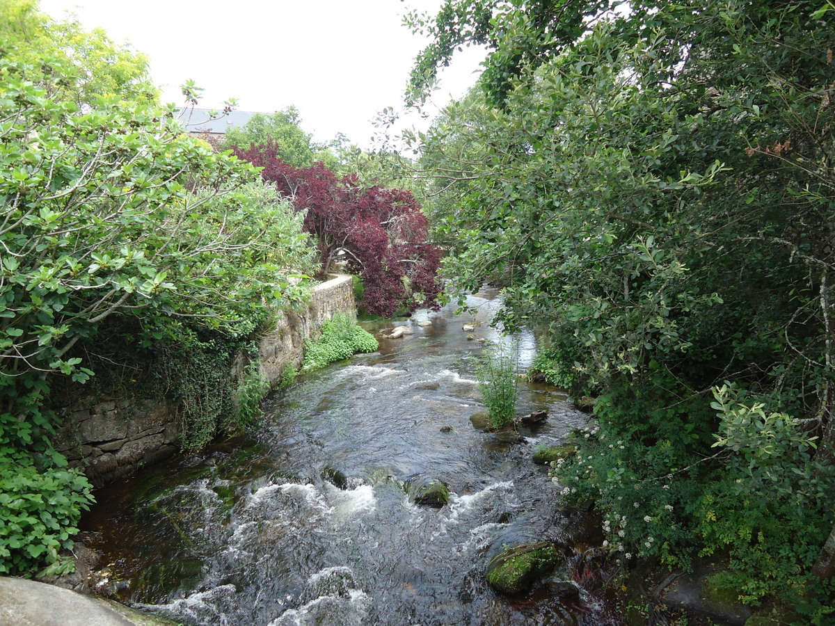 DSC08941