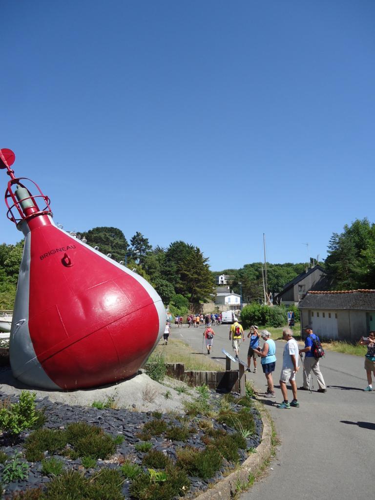 DSC09006
