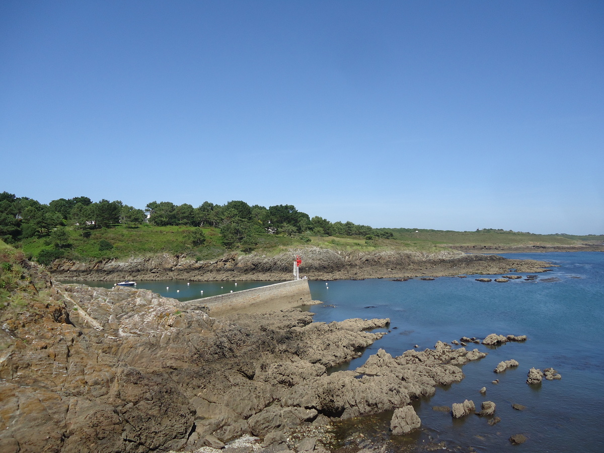 DSC09007