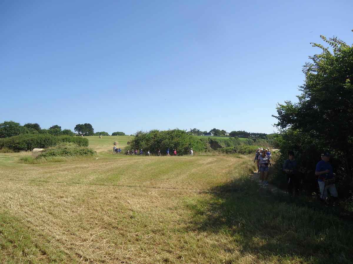 DSC09026