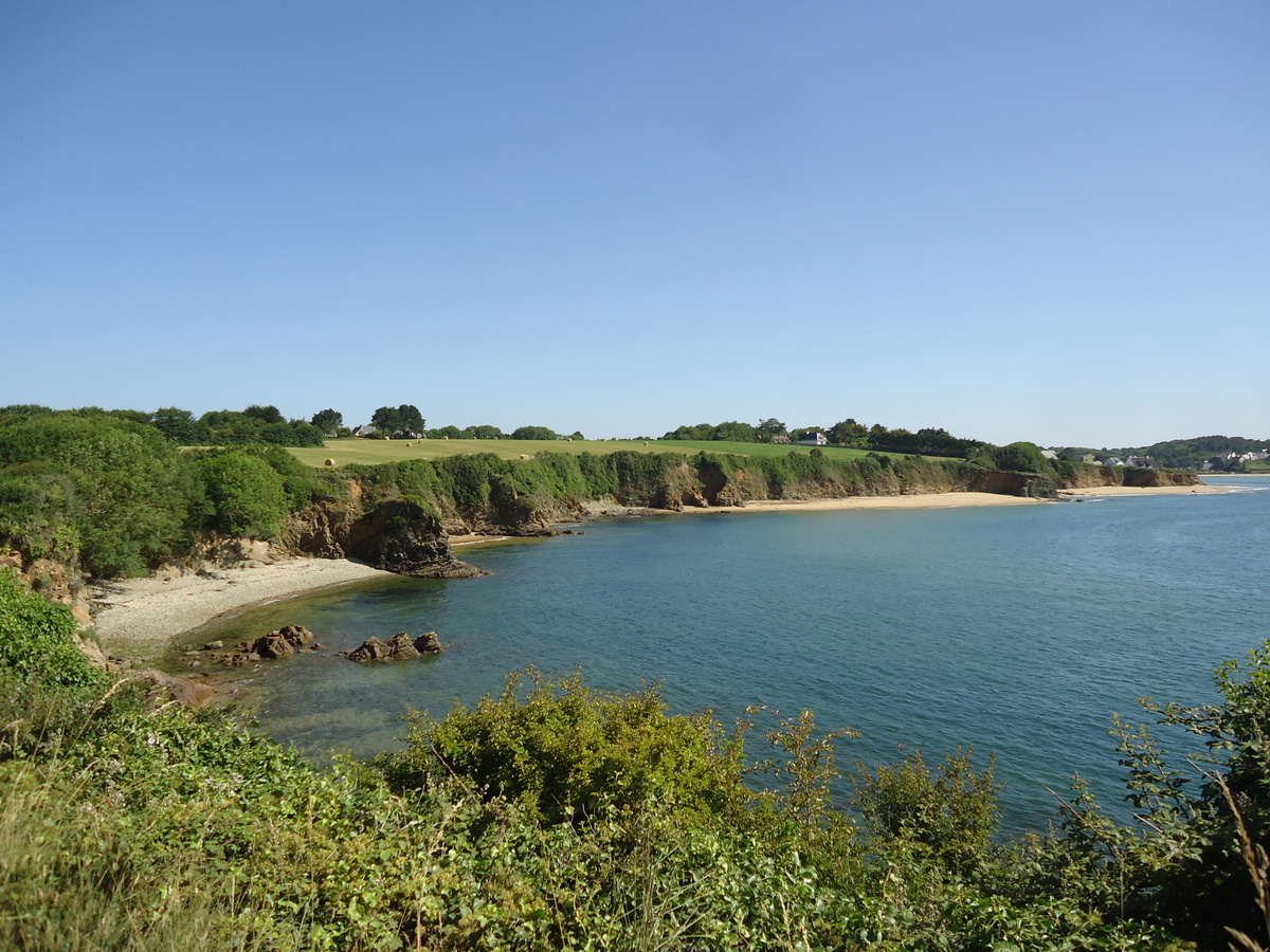 DSC09029