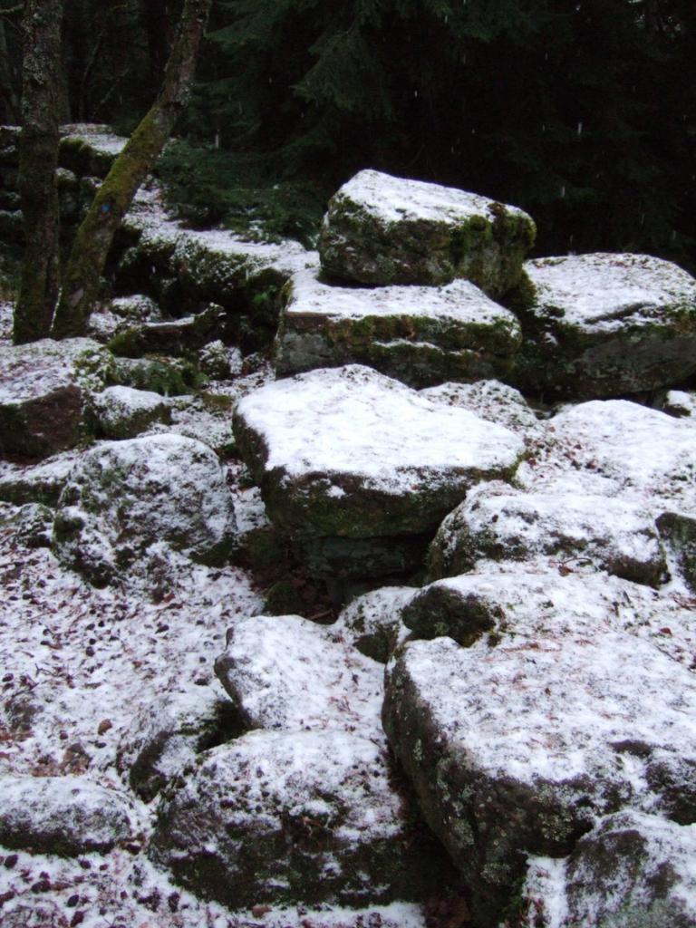 DSCF5897