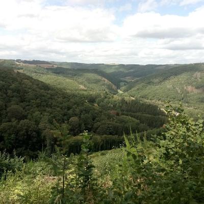 Sortie Bourscheid aout 2020