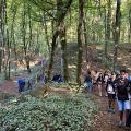un groupe dans le bois près du calvaire