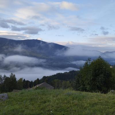 Img 20240914 075536a