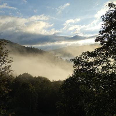 Img 20240914 075708a