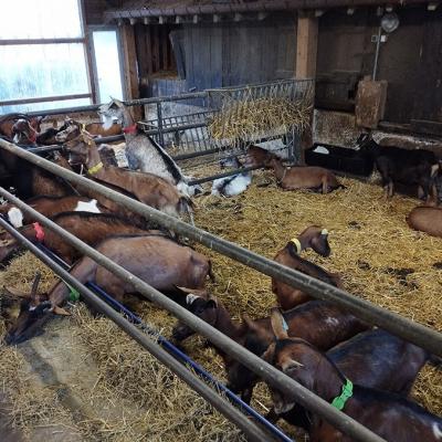 Img 20240915 080701a