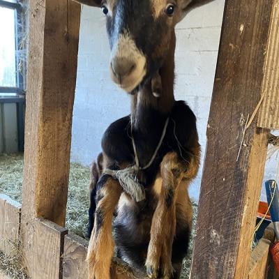 Img 20240915 080703a