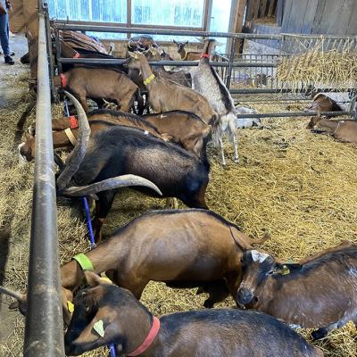 Img 20240915 080705a