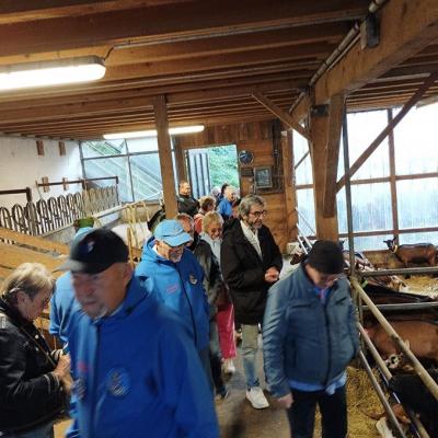 Img 20240915 080718a