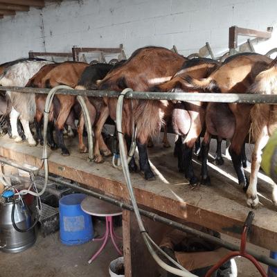 Img 20240915 084158a