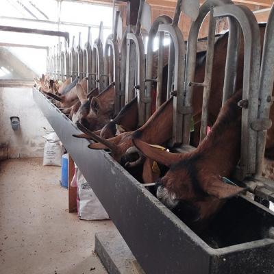 Img 20240915 084244a