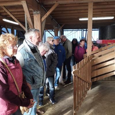 Img 20240915 084325a