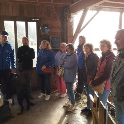 Img 20240915 084414a