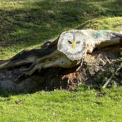 Img 20240915 101924a