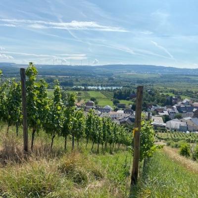 Sortie Remerschen juillet 2020