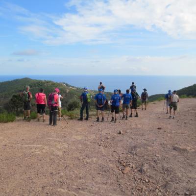 IMG_3737-001