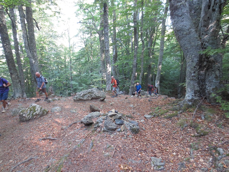 Img 4965a